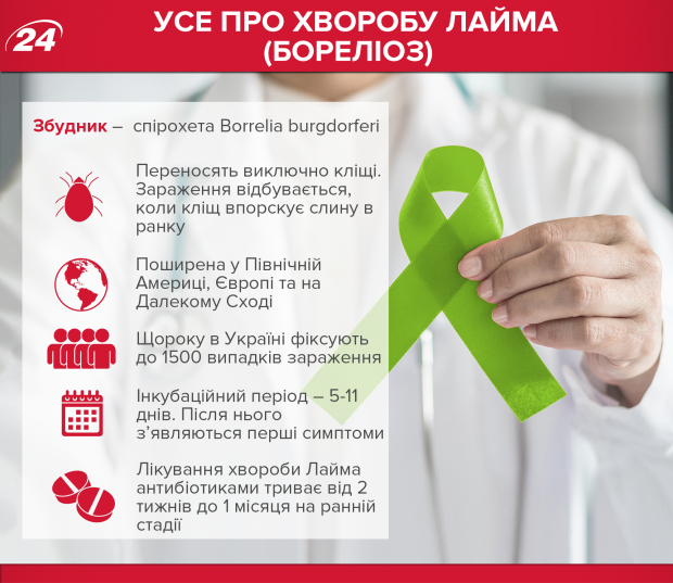Хвороба Лайма: симптоми та лікування небезпечної інфекції