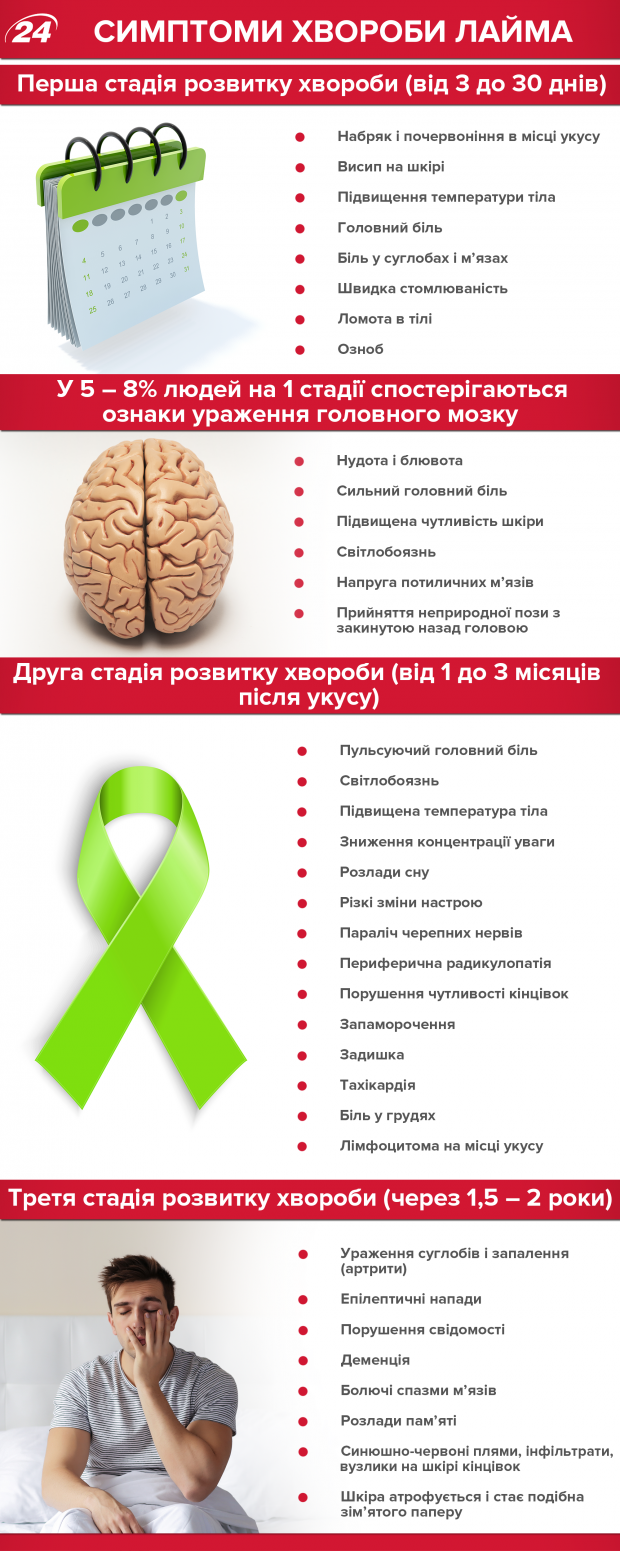 Хвороба Лайма: симптоми та лікування небезпечної інфекції