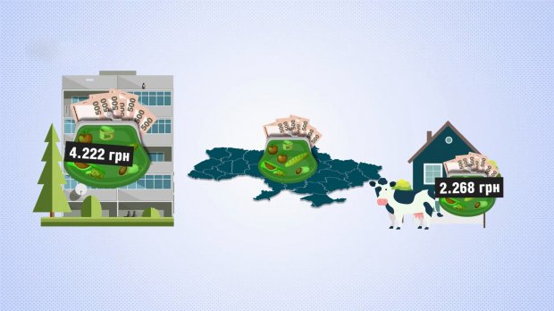 Сколько денег в месяц тратит обычный украинец: интересные цифры