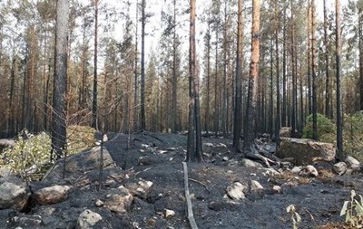 В Финляндии рекордное количество лесных пожаров
