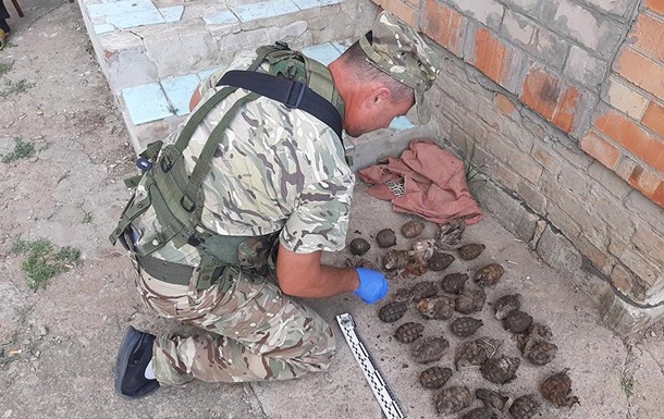 В Запорожской области изъяли более 30 гранат
