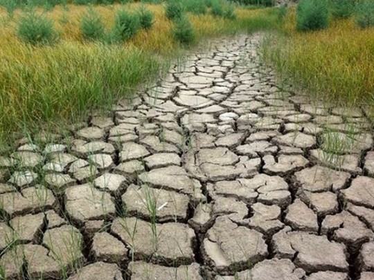 В засыхающем Крыму заявили, что им не нужна вода из Украины