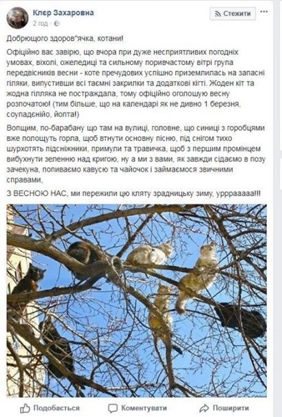 Вхурделило: реакция Сети на погоду 1 марта