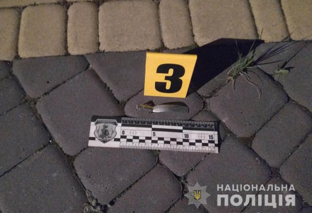 Во двор депутата Волынского облсовета Буська бросили гранату: фото