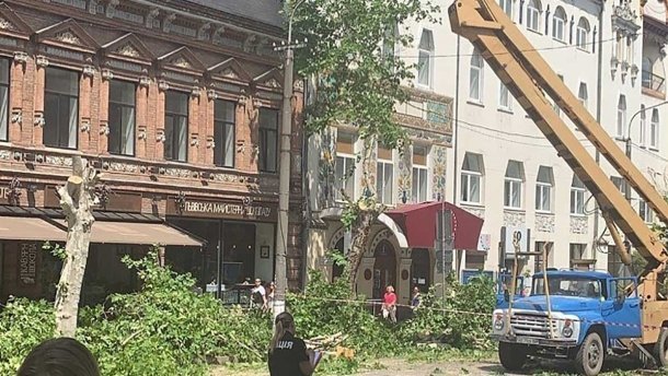 Врятуйте дерева Дніпра! – активістка звернулася до Зеленського