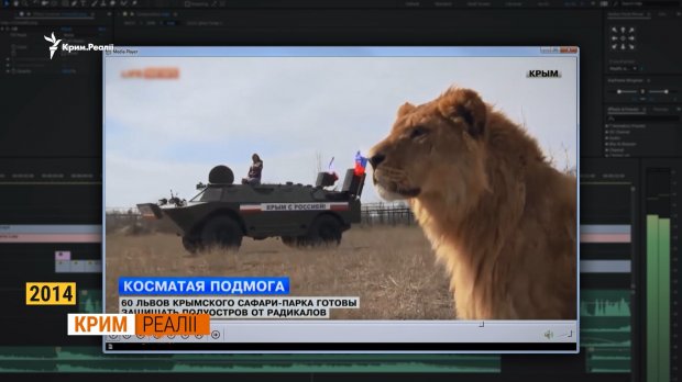 Як живе кримчанка, якій Медведєв відповів ви дєржитєсь тут, всєго доброго