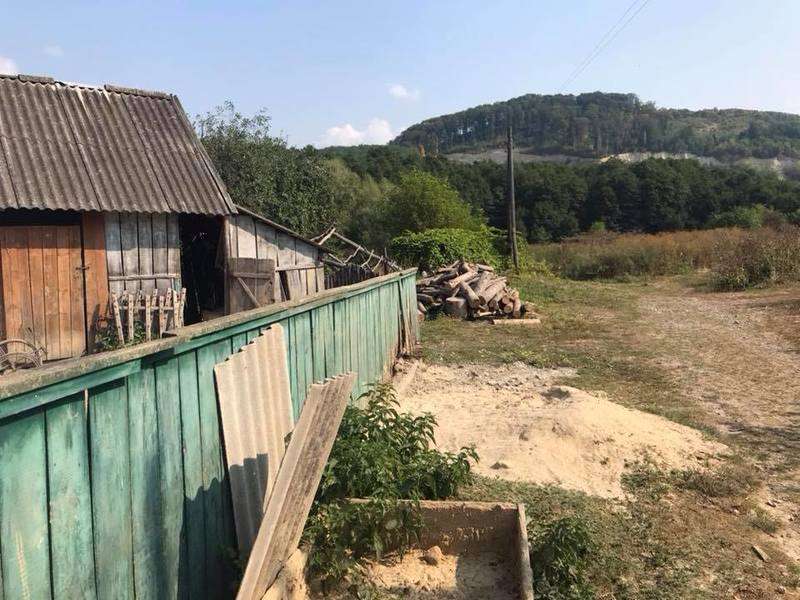На Прикарпатті знайшли дитину-мауглі На Прикарпатті знайшли дитину-мауглі