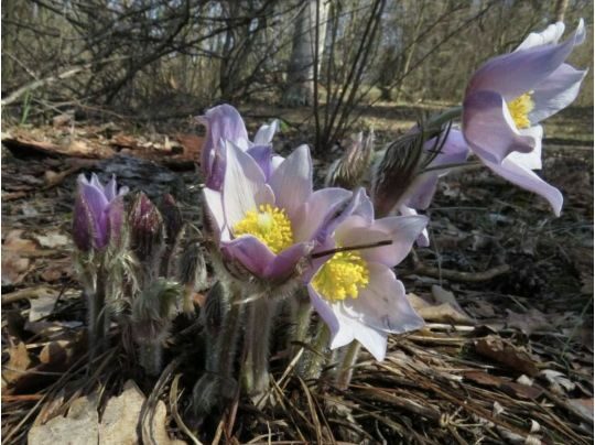 Після спеки&nbsp;&mdash; різке похолодання: синоптикиня розповіла про сюрпризи погоди на&nbsp;найближчі дні