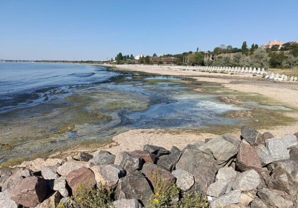 Почернение моря в Одесском районе: что обнаружили экологи