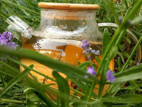 Літній чай, як&nbsp;у&nbsp;дорогому ресторані: рецепт відомої кулінарки