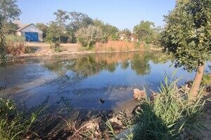 Замор рыбы и смрад в водоеме в Одесской области: что показали анализы Замор рыбы и смрад в водоеме в Одесской области: что показали анализы