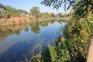 Замор рыбы и смрад в водоеме в Одесской области: что показали анализы Замор рыбы и смрад в водоеме в Одесской области: что показали анализы