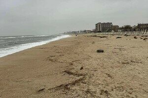 В Одесской области обнаружили загрязнение побережья: где именно и чем