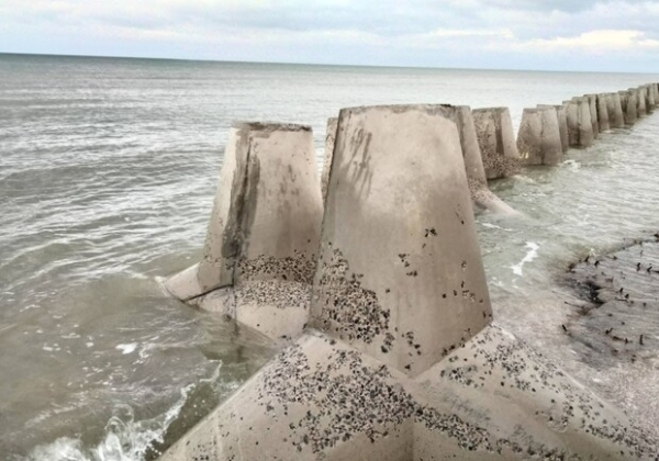 В Нацпарке &laquo;Тузловские лиманы&raquo; море разрушает тетраподы на пересыпи: что говорят экологи