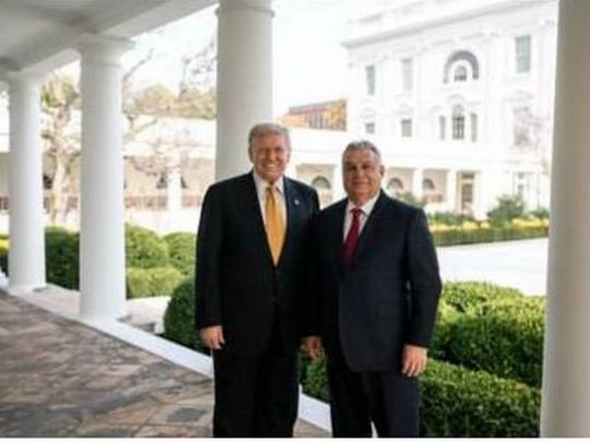 Трамп втрутився у&nbsp;вибори в&nbsp;Угорщині: публічно закликав голосувати за&nbsp;Орбана