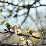 До +19 °С, но не без дождей: какая погода будет в Одессе в эти выходные