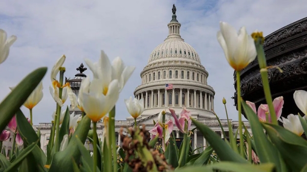 Сенат США отклонил резолюцию об ограничении военных полномочий Трампа в Иране Сенат США отклонил резолюцию об ограничении военных полномочий Трампа в Иране