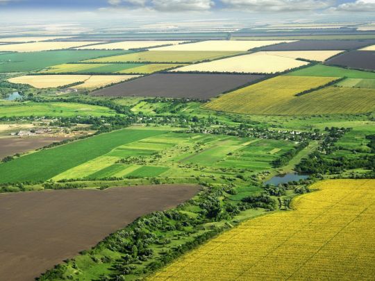 Українці можуть залишитися без землі через борги за&nbsp;комуналку: кому загрожує