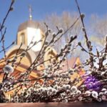 Вербна неділя: магічні властивості верби та чому вона стала символом сили й добробуту
