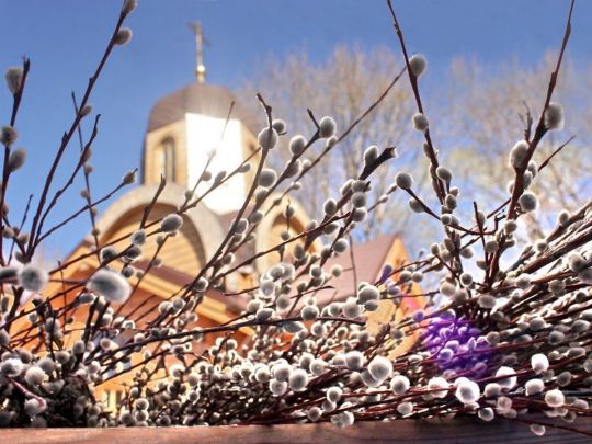 Вербна неділя: магічні властивості верби та&nbsp;чому вона стала символом сили й&nbsp;добробуту