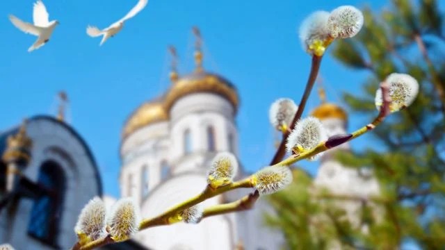 Вербна неділя: магічні властивості верби та&nbsp;чому вона стала символом сили й&nbsp;добробуту