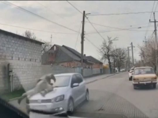 Водій збив військового ТЦК під час перевірки документів (відео)