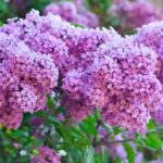 До +25 °С: какая погода будет в Одессе на следующей неделе