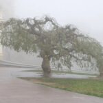 С туманом и дождем: какая погода будет в Одессе в эти выходные